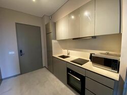 Robin Residences (D10), Condominium #469091521